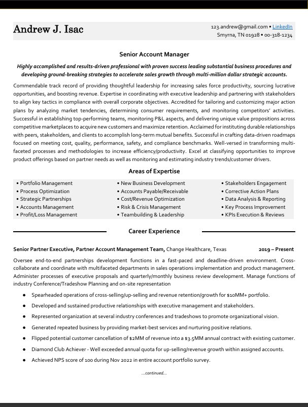 Executive Classic CV format example